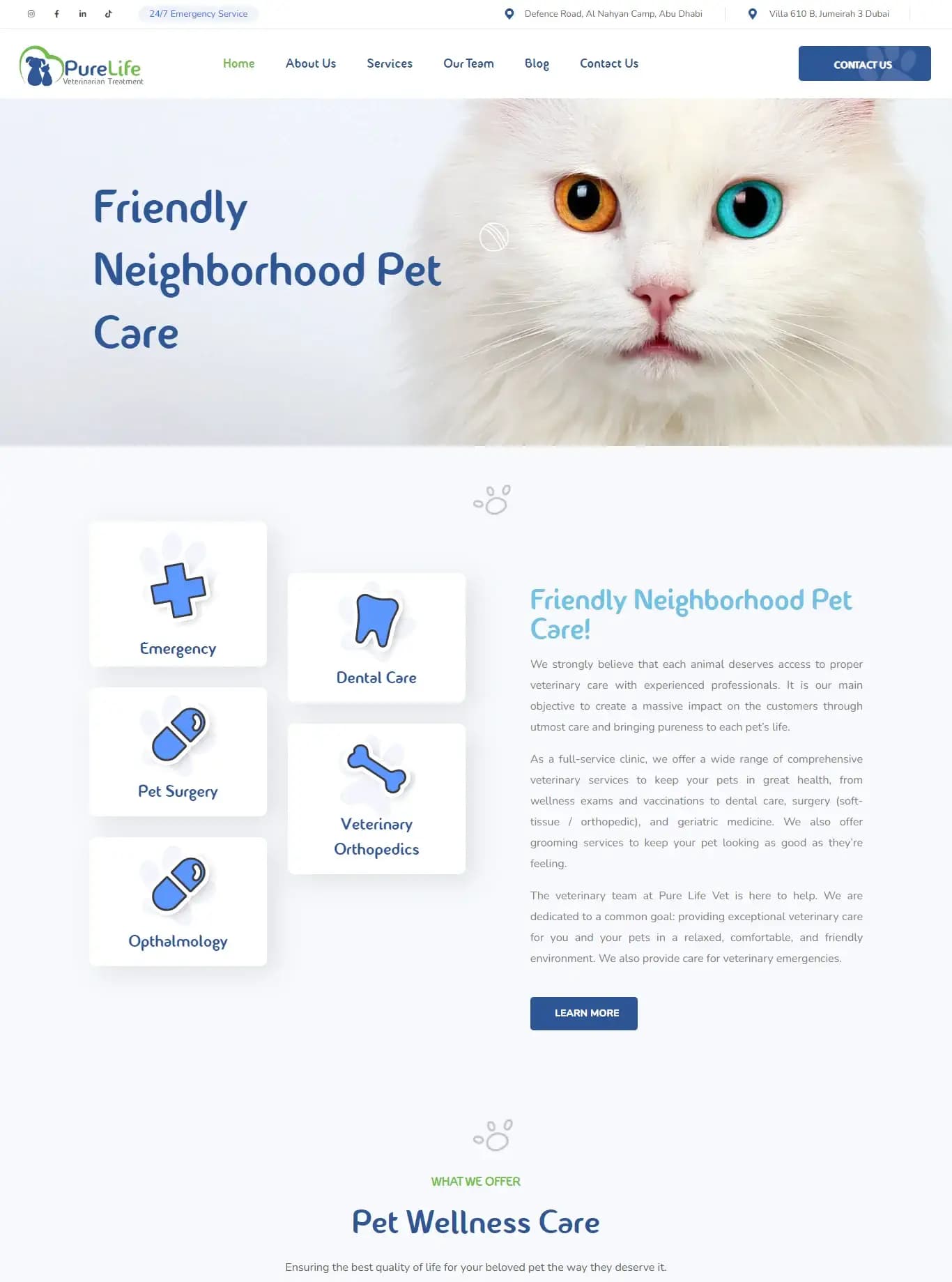 Portfolio Image